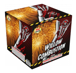 RACCOON WILLOW COMBUSTION- CASE 4/1